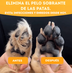 MINI MAQUINA CON LINTERNA PARA MASCOTA