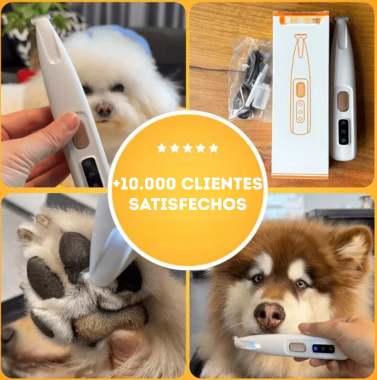 MINI MAQUINA CON LINTERNA PARA MASCOTA